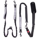 Waist Dog Leash Factory - OEM Dual Handle Adjustable Belt