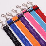 Pet Seatbelt Leash Factory - OEM Factory Wholesale Retractable