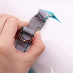 Pet Dog Harness Factory - OEM ODM New Style No-Choke Step-in