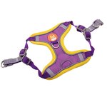 Pet Dog Harness Factory - OEM ODM New Style No-Choke Step-in