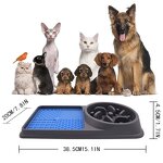 Pet Slow Feeder Bowl Factory - OEM ODM Private Label 2 in 1