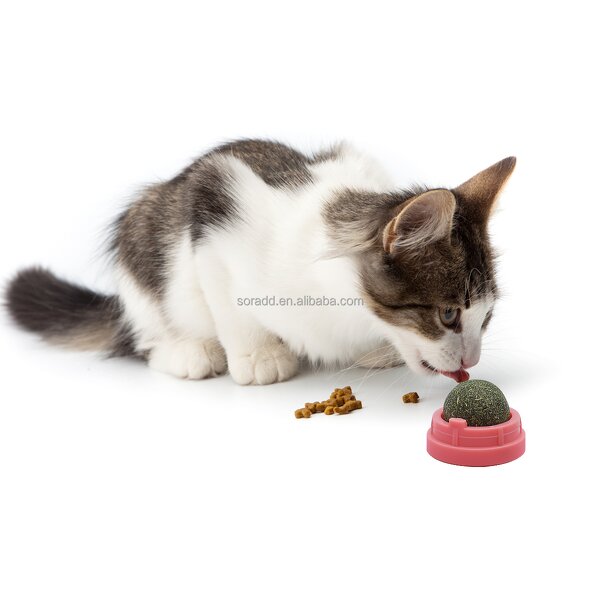 Catnip Ball Toy Factory - OEM Lickable Rotatable Silvervine