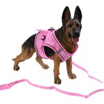 Pet Dog Harness Factory - OEM New Style No Pull Reflective