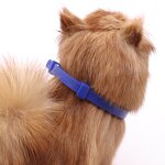 Pet Flea Collar Manufacturer - OEM Factory Price 8 Months Protection