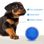Dog Chew Toy Factory - OEM Durable BPA Free Non-Toxic Squeaky