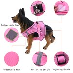 Pet Dog Harness Factory - OEM New Style No Pull Reflective