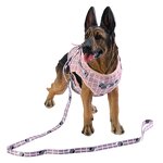 Dog Vest Harness Manufacturer - OEM Factory Wholesale Step-in