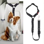 Pet Seatbelt Leash Factory - OEM Factory Wholesale Retractable