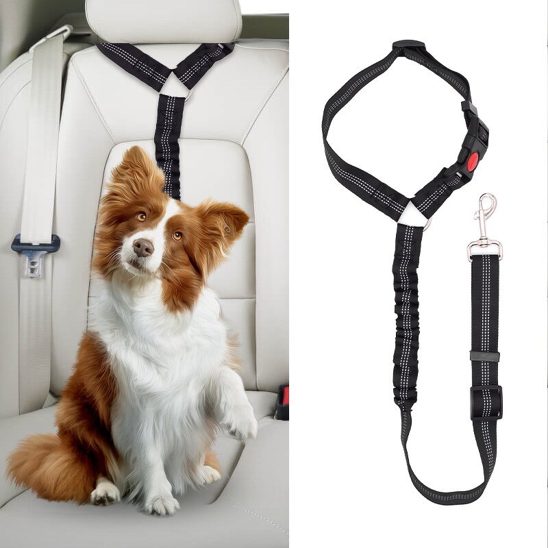 Pet Seatbelt Leash Factory - OEM Factory Wholesale Retractable
