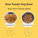 Pet Slow Feeder Insert Manufacturer - OEM ODM Silicone Spiral Cuttable