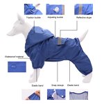Pet Apparel & Accessories