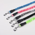 Dog Training Leash Manufacturer - OEM Factory Heavy Duty Elastic