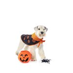 Pet Dog Sweater Factory - OEM 2024 Hot Sale Halloween Christmas