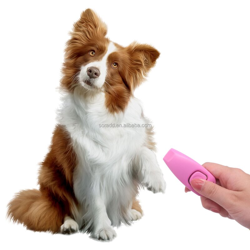 Dog Clicker Wrist Band Manufacturer - OEM Multicolor Training Tool