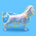 Pet Rain Coat Manufacturer - OEM Wholesale Transparent Waterproof