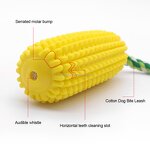 Dog Chew Toys Manufacturer - OEM Squeak Non-Squeak Toothbrush