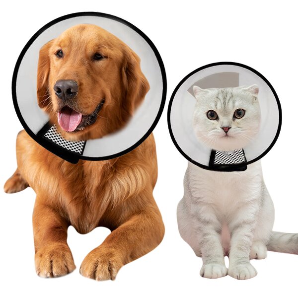 Pet E-Collar Factory - OEM Anti-Bite Lick Wound Healing Plastic