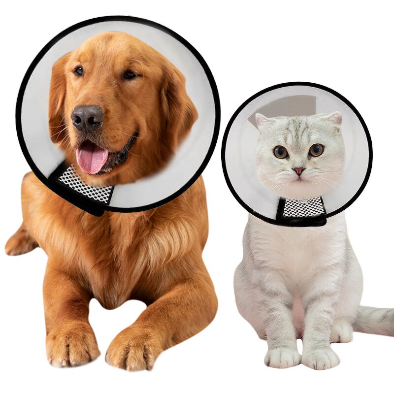 Pet E-Collar Factory - OEM Anti-Bite Lick Wound Healing Plastic