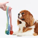 Dog Chew Toys Factory - OEM Durable Rubber Ball Rope Interactive
