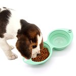Pet Travel Bowls Factory - OEM ODM 2 in 1 Silicone Collapsible