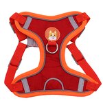 Pet Harnesses Leashes & Collars