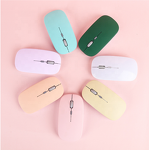 Wireless Mouse Manufacturer - OEM Good Sale OEM Brand Mini 2.4g BT