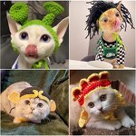 Pet Hat Factory - OEM Character Acrylic Crocheted Funny Cat Dog Hat