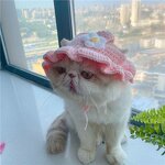 Pet Hat Factory - OEM Character Acrylic Crocheted Funny Cat Dog Hat