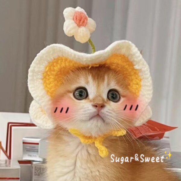 Cat Hat Supplier - OEM Cute Flower Handmade Funny Pet Headwear