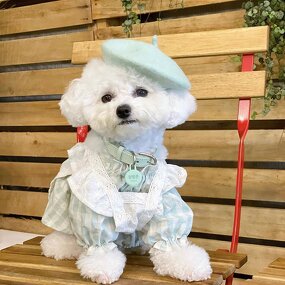 Pet Beret Supplier - OEM Hot Selling Customizable Dog Accessory Painter