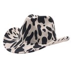 Cowboy Hat Supplier - OEM Wholesale Price Newly Style Western Party Multi