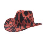 Cowboy Hat Supplier - OEM Wholesale Price Newly Style Western Party Multi