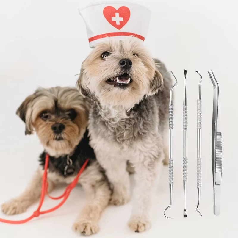 Teeth Cleaning Kit Factory - Manual Dental Scraper Remover