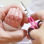 Beauty Scissors Manufacturer - OEM Curved Multi Purpose