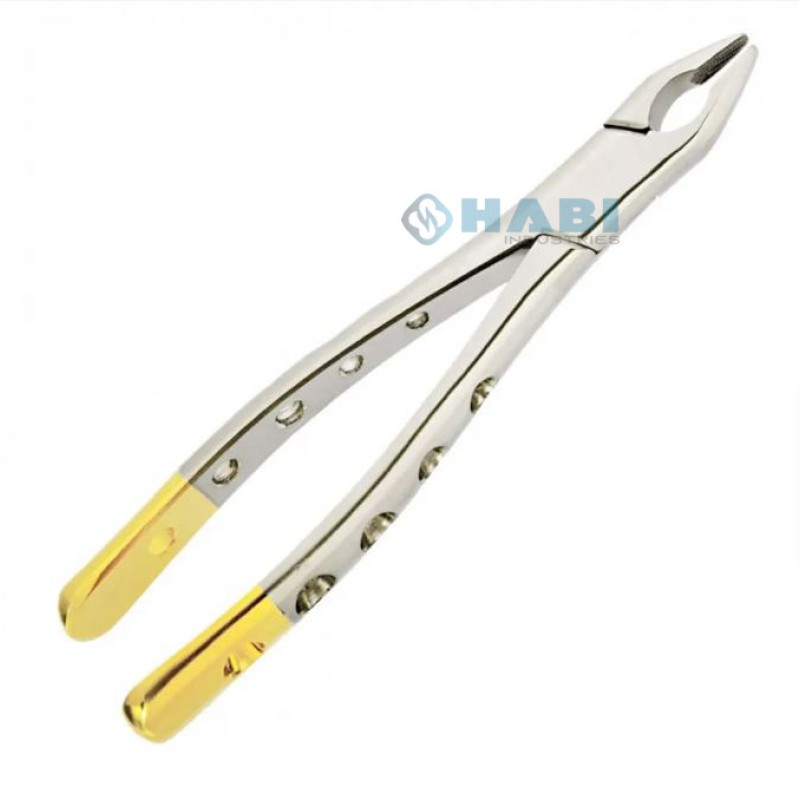 Extraction Forceps Factory - OEM Half Gold Cow Horn