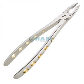 Dental Pliers Manufacturer - OEM Surgical Grade Forceps