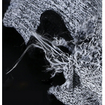 Anti Cut Sleeves Factory - OEM Anti Cut Burn Resistant Forearm