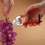 Fruit Shears Manufacturer - OEM Cheaper Thin Fine Branch Gardening