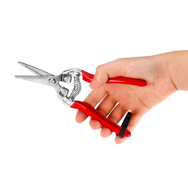Fruit Shears Manufacturer - OEM Cheaper Thin Fine Branch Gardening