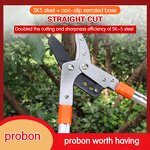 Long Pole Pruner Factory - OEM SK5 High Carbon Steel Straight Thick