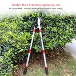 Telescopic Pruner Manufacturer - OEM Factory Wholesale SK5 Steel Long