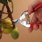 Fruit Shears Manufacturer - OEM Cheaper Thin Fine Branch Gardening