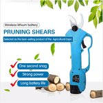 Electric Pruner Factory - OEM New Hand-held Cordless Pruning Shears