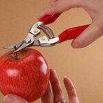Fruit Shears Manufacturer - OEM Cheaper Thin Fine Branch Gardening
