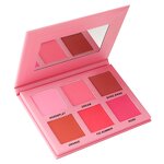 Contour Palette Supplier - OEM Wholesale Face Cosmetics DIY Blush