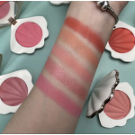 Highlighter Palette Supplier - OEM Hot Selling Vegan Matte Blusher OEM