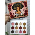 DIY Eyeshadow Palette Supplier - OEM Wholesale 12 Colors Shimmer Vegan