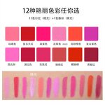 Body Paint Palette Manufacturer - OEM Wholesale Custom 12 Color Matte