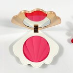 Powder Blush Factory - OEM Natural Vegan Cruelty Free Shimmer