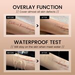 Cushion Foundation Supplier - OEM High Quality Full Coverage Waterproof